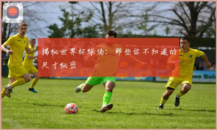 揭秘世界杯球场：那些你不知道的尺寸秘密
