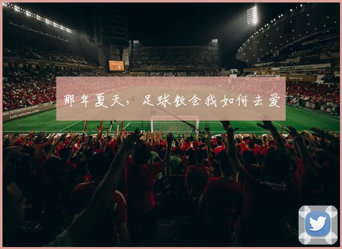 那年夏天，足球教会我如何去爱