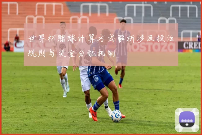 世界杯赌球计算方式解析涉及投注规则与奖金分配机制