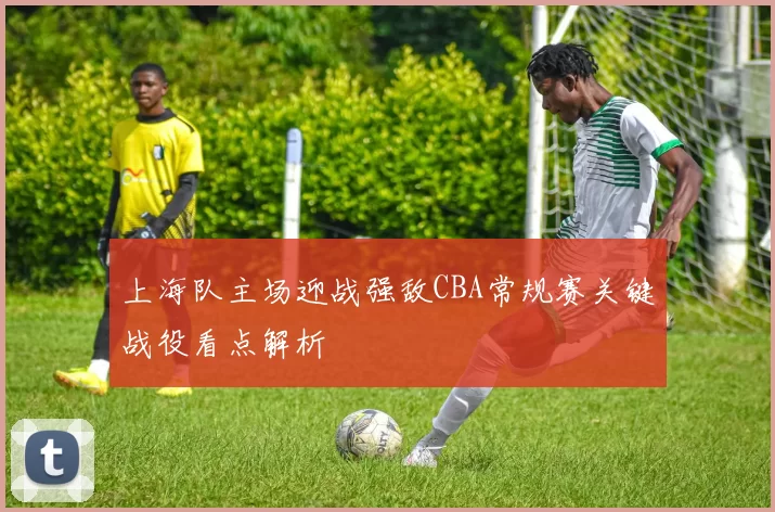 上海队主场迎战强敌CBA常规赛关键战役看点解析