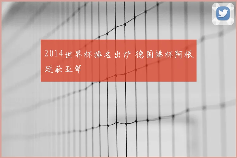 2014世界杯排名出炉 德国捧杯阿根廷获亚军